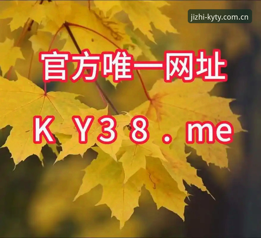 揭秘ky体育官网入口常见问题背后的真相：从登录到安全的全面解析