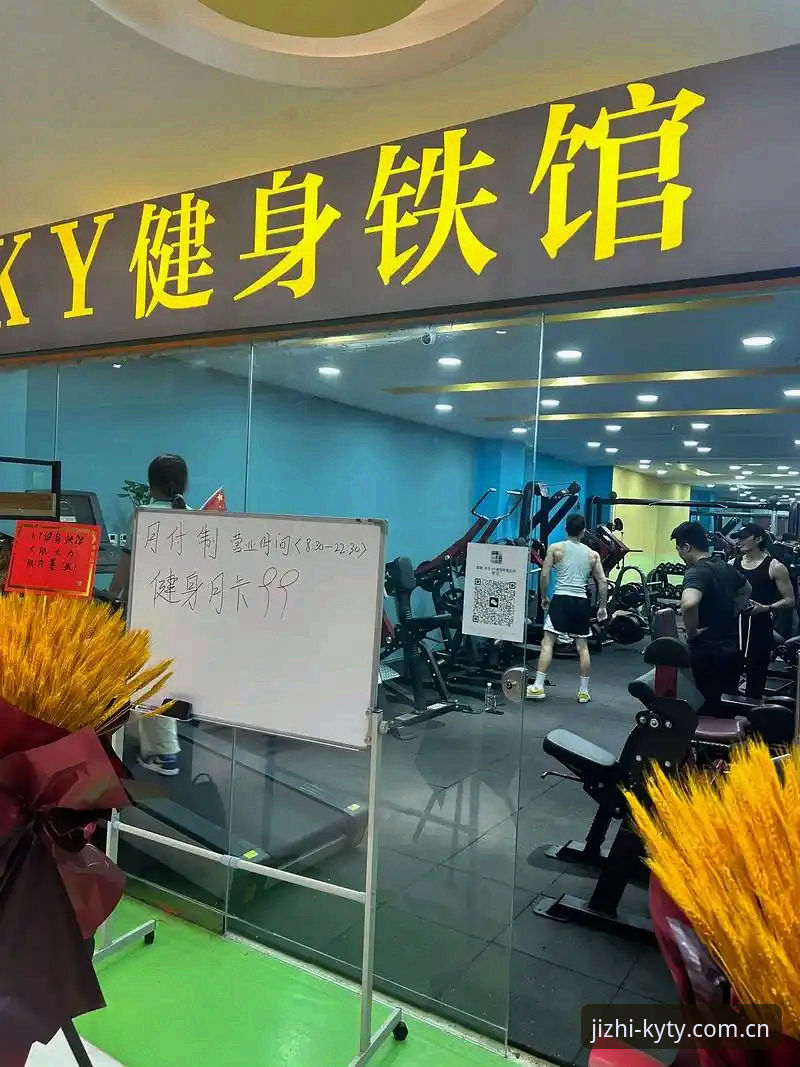 KY体育平台实战操作指南：从下载安装到高效使用的完整教程